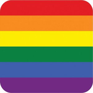 50x Regenboog thema bierviltjes - Bierfiltjes