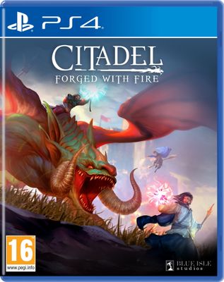 Citadel Forged with Fire