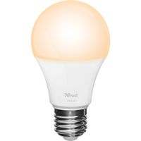 Zigbee Dimmable LED Bulb Flame ZLED-2209 Ledlamp