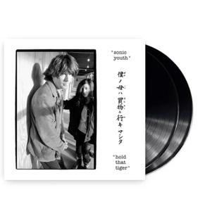 Sonic Youth - Hold That Tiger 2LP