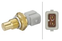 Temperatuursensor 6PT009309301