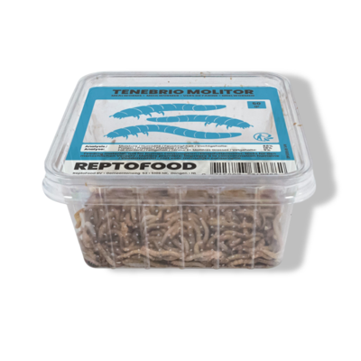 Meelwormen bakje 50g Reptofood - Aquadistri