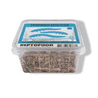 Meelwormen bakje 50g Reptofood - Aquadistri