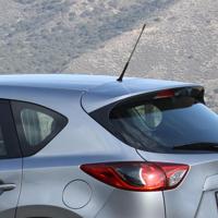 AUTOSTYLING SEEHASE Antennas universal set autostyling