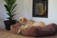Dog's Companion® Hondenbed little square soft brown medium