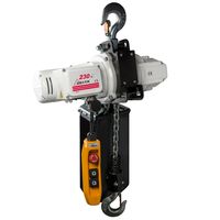Delta Elektrische kettingtakel US | 230V | 10 m | 1 ton - CZ.0.US.903.00.10 CZ.0.US.903.00.10