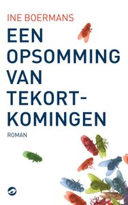 Een opsomming van tekortkomingen - Ine Boermans - ebook