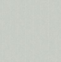 Dutch Wallcoverings Sauvage Streep - Grijs