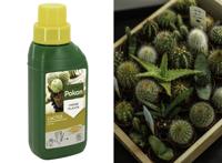Pokon Cactus Voeding - 250ml - Plantenvoeding - 10ml per 1L water Pokon Cactus Voeding - 250ml - Plantenvoeding - 10ml per 1L water