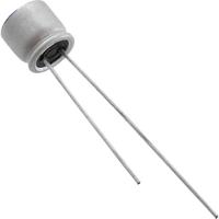 Panasonic Elektrolytische condensator Radiaal bedraad 2.5 mm 120 µF 20 V 20 % (Ø) 6.3 mm 1 stuk(s) - thumbnail