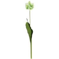 Countryfield kunstbloem tulp tulipa groen 73 cm | 12 stuks