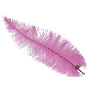 Grote struisvogelveer - roze - 40 cm - Charleston/jaren 20/twenties thema verkleed accessoire