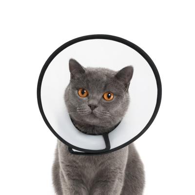 Nobleza Beschermkraag voor hond en kat - Maat S