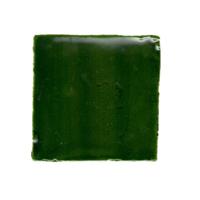 Terre d&apos;Azur Porto Tegel 10x10cm Groen F80 (Victorian Green)