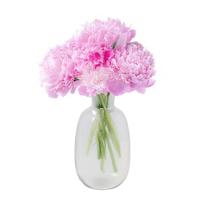 Bloemenvaas Mira - fles vaas model - transparant glas - D21 x H37 cm