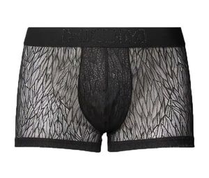 Hom Temptation short Rudy