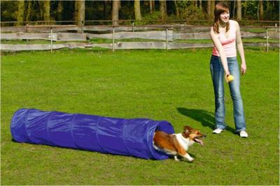 BZ AGILITY TUNNEL SMALL 198X40X40