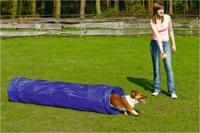 BZ AGILITY TUNNEL SMALL 198X40X40