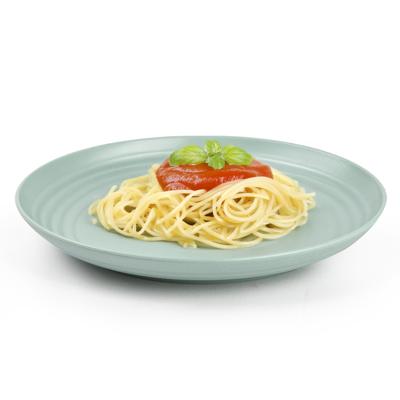 Plasticforte Rond bord/camping bord - D20 cm - groen - kunststof - onbreekbaar - servies