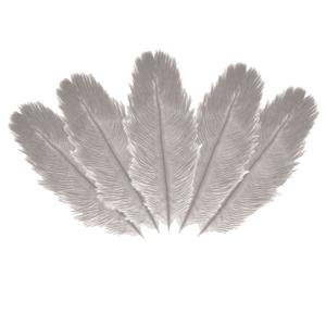 Struisvogelveren/sierveren - 10x - licht grijs - 20-25 cm - decoratie/hobbymateriaal