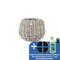 Drypot tina rotan d45h34cm bruin