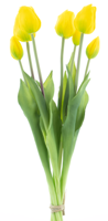 Classic tulip bundle Sally x7 yellow 47cm