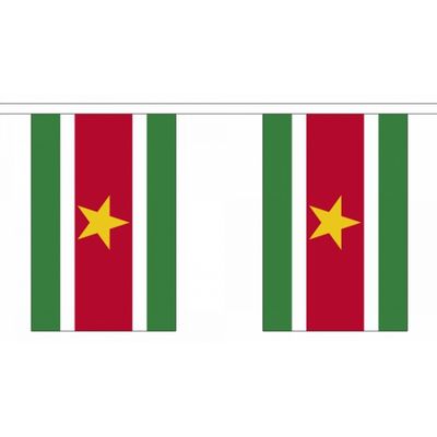 2x Buiten vlaggenlijn Suriname 3 meter