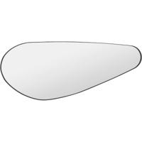 Spiegel - Livion Brens - Figuur - Hangspiegel in Frame - 70x170cm - Zwart - Metaal