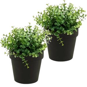 Kunstplant eucalyptus - 2x - groen - in zwart potje - 20 cm