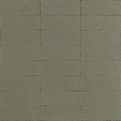 Ragno Glace RAEX Wandtegel 075X200 Muschio 9mm Glans