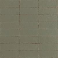 Ragno Glace RAEX Wandtegel 075X200 Muschio 9mm Glans