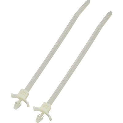 TRU COMPONENTS 1592822 TC-PCV155203 Kabelbinder 157 mm 3.50 mm Natuur Met spreidanker 1 stuk(s)