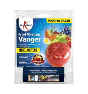 Fruitvliegjes vanger