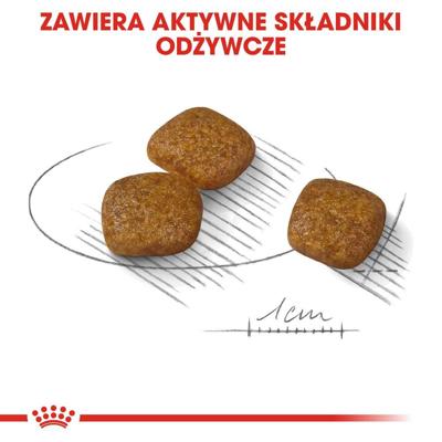 ROYAL CANIN Mini Urinary Care - droog hondenvoer - 3 kg