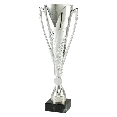 Sportprijzen Leiden Sportprijs ET.448 Zilver Sportprijzen Leiden Sportprijs ET.448 Zilver