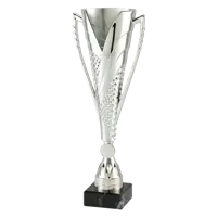 Sportprijzen Leiden Sportprijs ET.448 Zilver