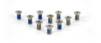 ANP BOUT 6X10 TORX T20 7984 LT RVS DS A 10