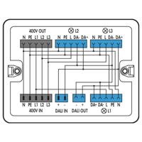 WAGO 899-681/147-000 Verdeeldoos 1 stuk(s)