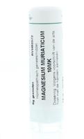 Homeoden Heel Magnesium muriaticum 10MK 6 Gram