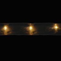 Kerstverlichting LED transparant goudkleurig lint 50 lampjes Luca - Luca