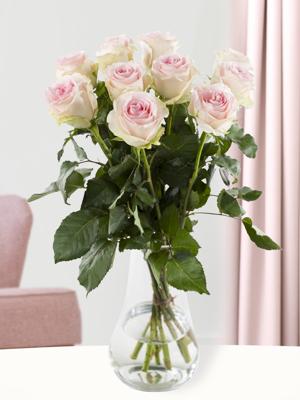 10 zachtroze rozen - Sweet Revival