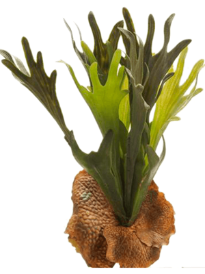 Hertshoorn varen 38 cm kunstbloem zijde nepbloem - Emerald