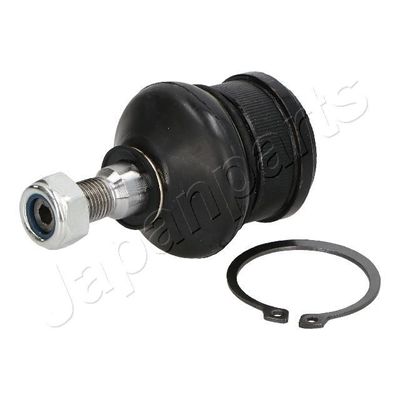 Fuseekogel BJ502