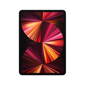 Apple iPad Pro 256 GB 27,9 cm (11") Apple M 8 GB Wi-Fi 6 (802.11ax) iPadOS 14 Grijs