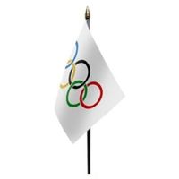 10x Olympisch vlaggetje van polyester   -