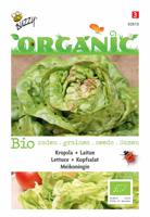 Organic Kropsla Meikoningin (Skal 14725) - Buzzy