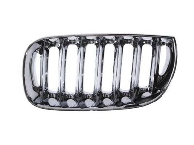 Radiateurgrille 6502070093993P