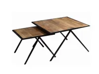 salontafel set mangohout