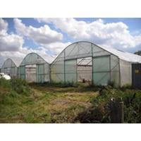 Tunnelfolie EVA AC 0,18 mm - 8 meter breed x m1 Tunnelfolie EVA AC 0,18 mm - 8 meter breed x m1