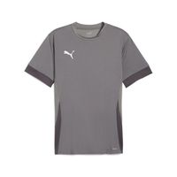 PUMA teamGOAL Matchday Voetbalshirt Grijs Wit